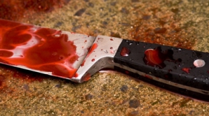 Глава налоговой инспекции города Резина был зарезан