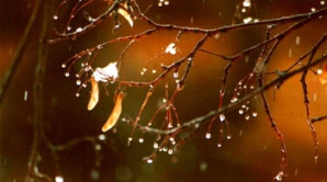 Погода на 10 марта 2012