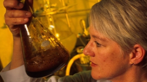 Придуман аккумулятор из древесных отходов