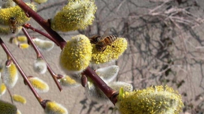 Погода на 5 апреля 2012