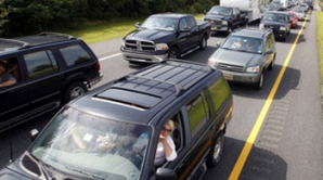 В США пересекавшие шоссе гуси создали гигантскую пробку 