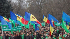 ЛДПМ получит 1 мая площадь Великого национального собрания