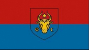 СДПМ намерена утвердить в качестве официального флага формирования красно-синий стяг