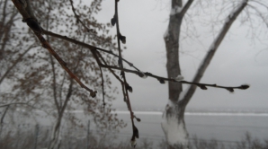 Грядет похолодание: метеорологи объявили оранжевый код опасности