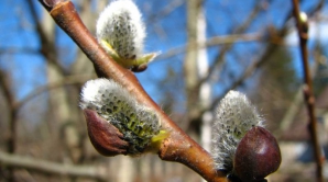 Погода на 4 апреля 2012