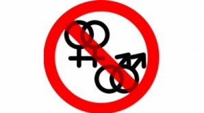 ЛДПМ не принимает в свои ряды геев и лесбиянок. Тех, кто хочет войти в партию, проверяют на ориентацию