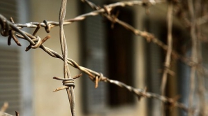 Истории громких преступлений последних лет