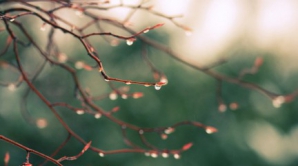 15 мая во многих городах страны пройдут кратковременные дожди с грозами