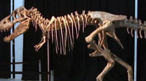 Самый древний лот выставлен на аукционе в Нью-Йорке 