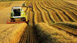 Всемирный банк: молдавское сельское хозяйство неэффективно