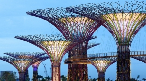  Деревья с солнечными панелями «вырастили» в Сингапуре (ФОТО)