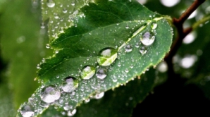 Синоптики обещают 14 июня местами кратковременные дожди с грозами