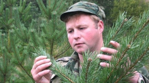 Спартакиада работников лесного хозяйства проходит в Вадул-луй-Водэ 