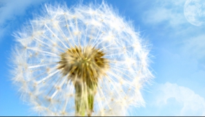 30 июля воздух прогреется до 37 с плюсом на юге Молдовы