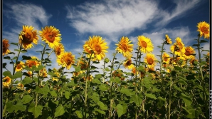3 июля в Молдове будет солнечно