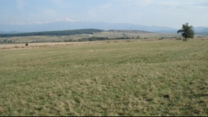 Кишиневец получил 5 лет за мошенничество с земельными участками 