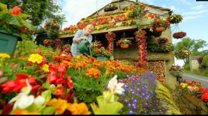 Британцы превратили свой дом в цветочный шедевр 