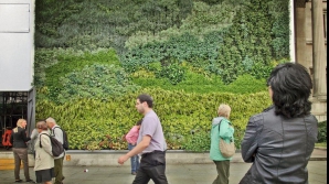 "Живая" картина Ван Гога из растений появилась в Лондоне