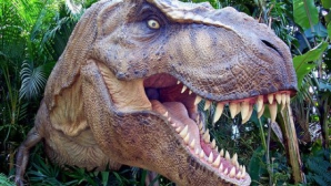 Обнаружен новый вид динозавра