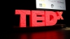 В Кишиневе прошла конференция TEDx