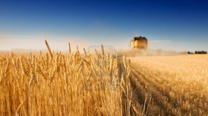 Эксперты рекомендуют снять земельные  ограничения в сельском хозяйстве