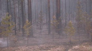 В России обнаружена аномальная зона