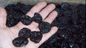 Каждая четвертая семья села Варзарешты занимается производством чернослива