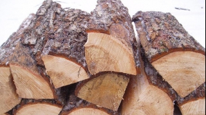 Дрова подорожали примерно на четверть