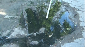 Канализация на столичной улице Алеку Руссо неисправна уже больше года