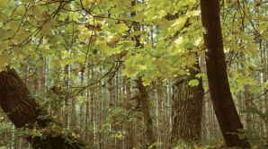 30 сентября в Молдове преимущественно без осадков