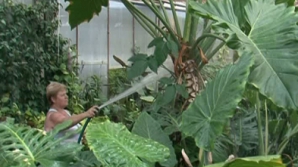 Трагедия ботанического сада: 2500 растений могут погибнуть из-за холодов  