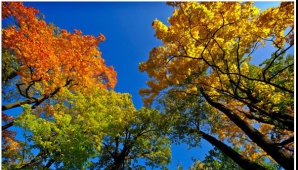 9 сентября в Молдове осадков не предвидится