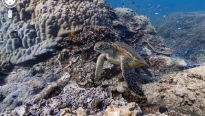 На Google Street View появились подводные панорамы