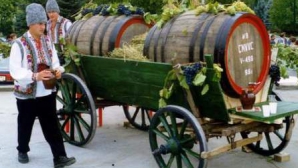 На организацию и проведение Дня вина выделен миллион леев 