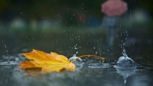 Объявлен желтый код в связи с похолоданием и дождями