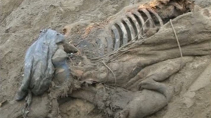 В России 11-летний мальчик нашел скелет мамонта