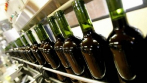 Россия откроет третий таможенный терминал для импорта молдавских вин