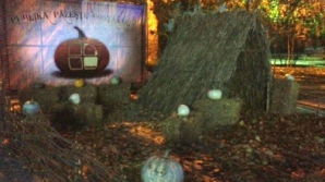 Publika TV запускает интерактивную кампанию: приглашаем на тыквенную бахчу