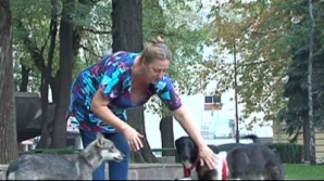 Десять бездомных собак ожидают своих будущих хозяев в центральном парке Кишинева