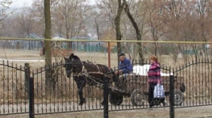 15 октября отмечается Международный день сельских женщин 