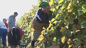 Женщины в молдавских селах работают и по выходным