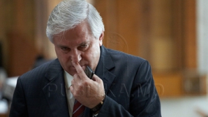 Чем занимаются парламентарии на заседаниях ФОТОГАЛЕРЕЯ