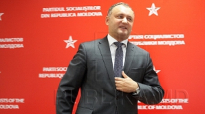 Додон о членах АЕИ: Мыши плакали, кололись, но продолжали есть кактус