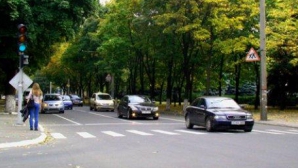 Альянс проголосовал за законопроект о дорожных сборах