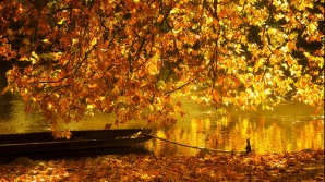 Погода на 6 октября: до 24 тепла в Кишиневе