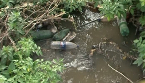 Резинские экологи встревожены уровнем загрязнения воды на Днестре