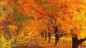 21 ноября в Кишиневе переменная облачность и +3