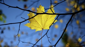 В Кишиневе 7 ноября ожидается переменная облачность и 10 градусов выше нуля 