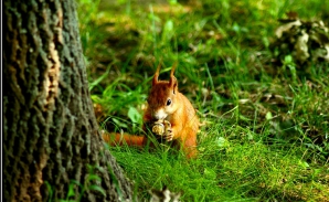В Молдове 22 ноября без осадков, до 5 градусов тепла