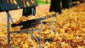 28 ноября в Молдове немного потеплеет